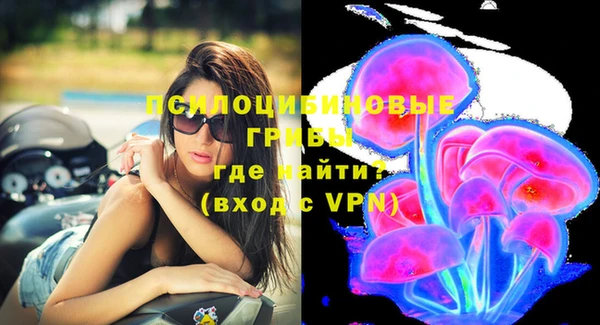бошки Зеленодольск