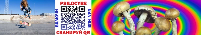 Галлюциногенные грибы GOLDEN TEACHER Йошкар-Ола
