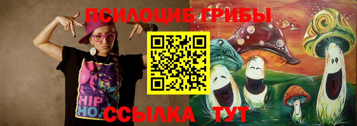 Йошкар-Ола  что такое   Вход с VPN  Галлюциногенные грибы Psilocybine cubensis 